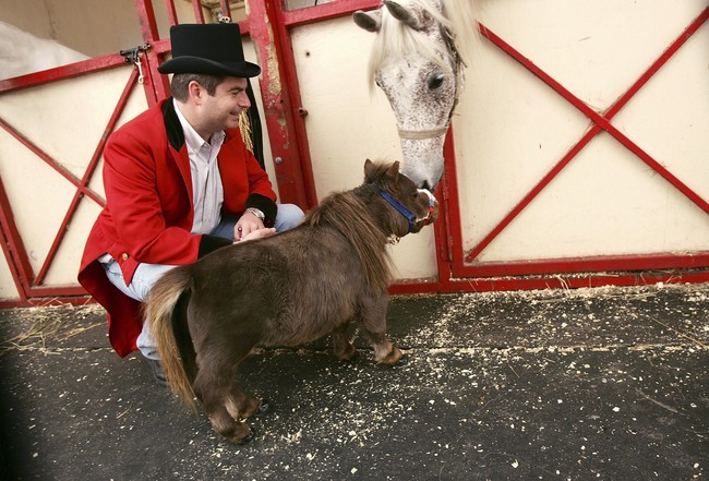 World's Smallest Horse Visits New York City