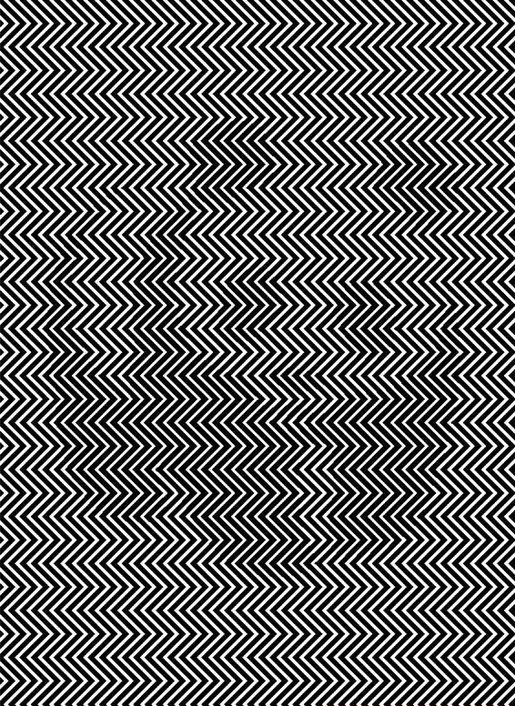 panda bear illusion